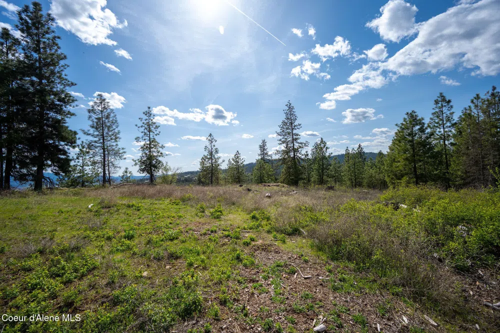 NKA W JULIA DRIVE Hauser, ID 83854