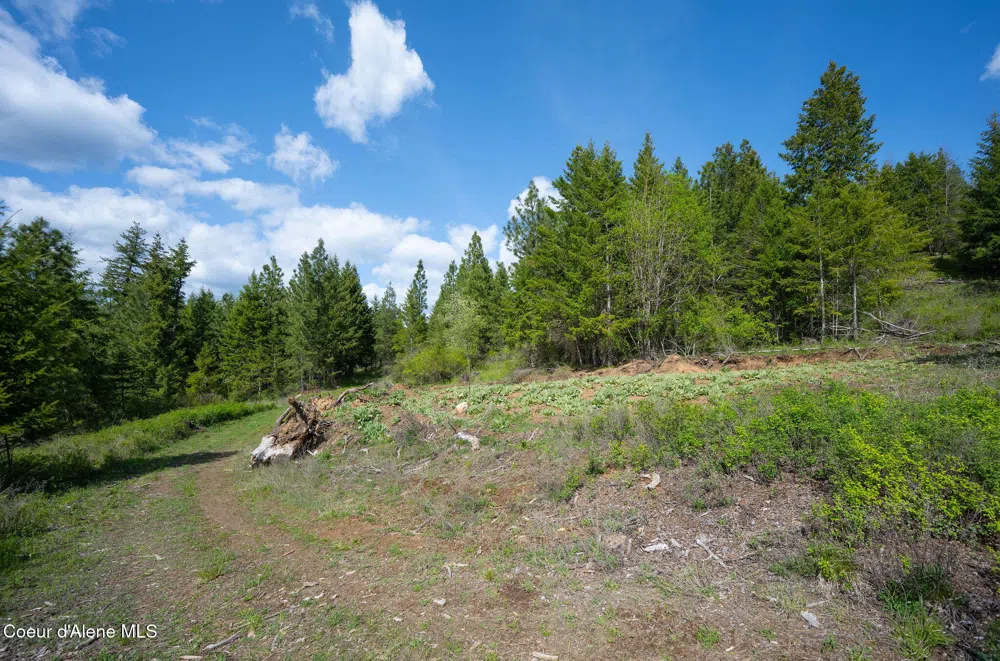 NKA W JULIA DRIVE Hauser, ID 83854