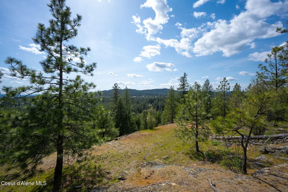 NKA W JULIA DRIVE Hauser, ID 83854