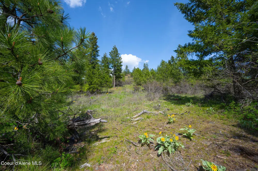 NKA W JULIA DRIVE Hauser, ID 83854