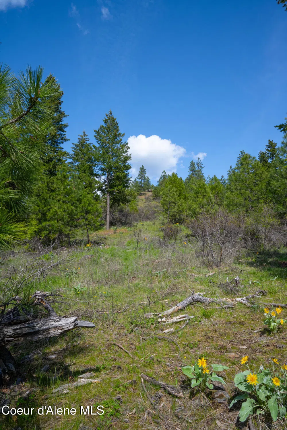 NKA W JULIA DRIVE Hauser, ID 83854