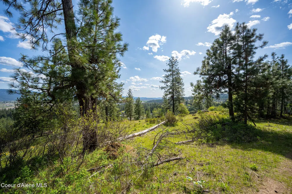 NKA W JULIA DRIVE Hauser, ID 83854