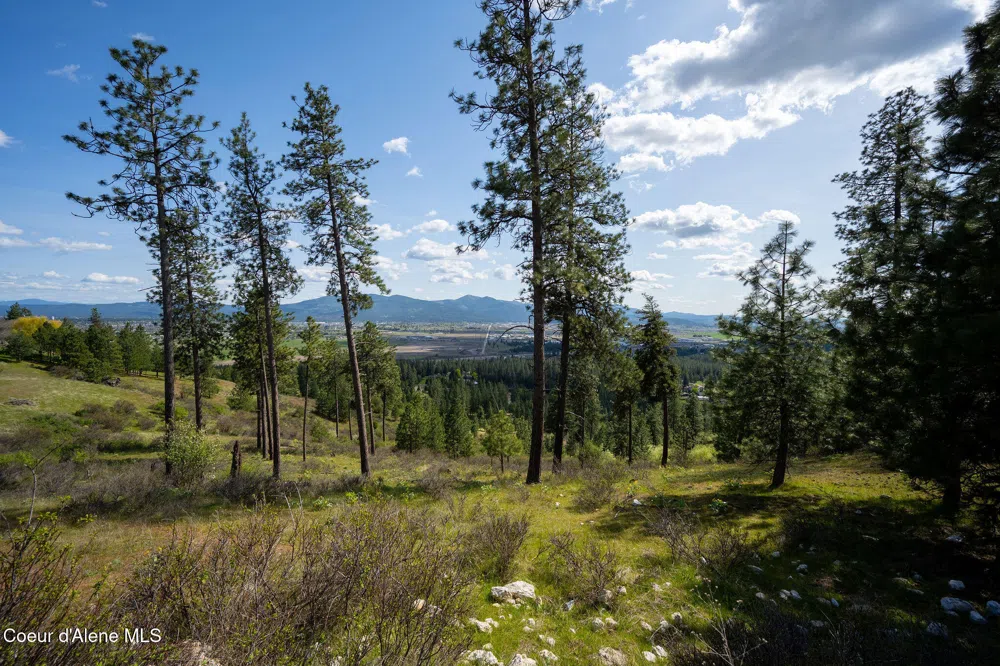 NKA W JULIA DRIVE Hauser, ID 83854