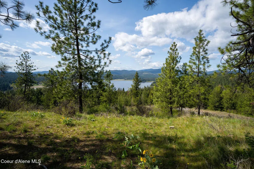 NKA W JULIA DRIVE Hauser, ID 83854