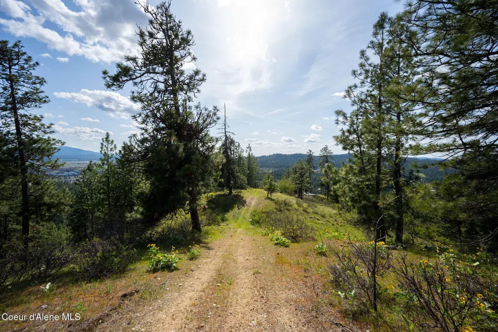 NKA W JULIA DRIVE Hauser, ID 83854