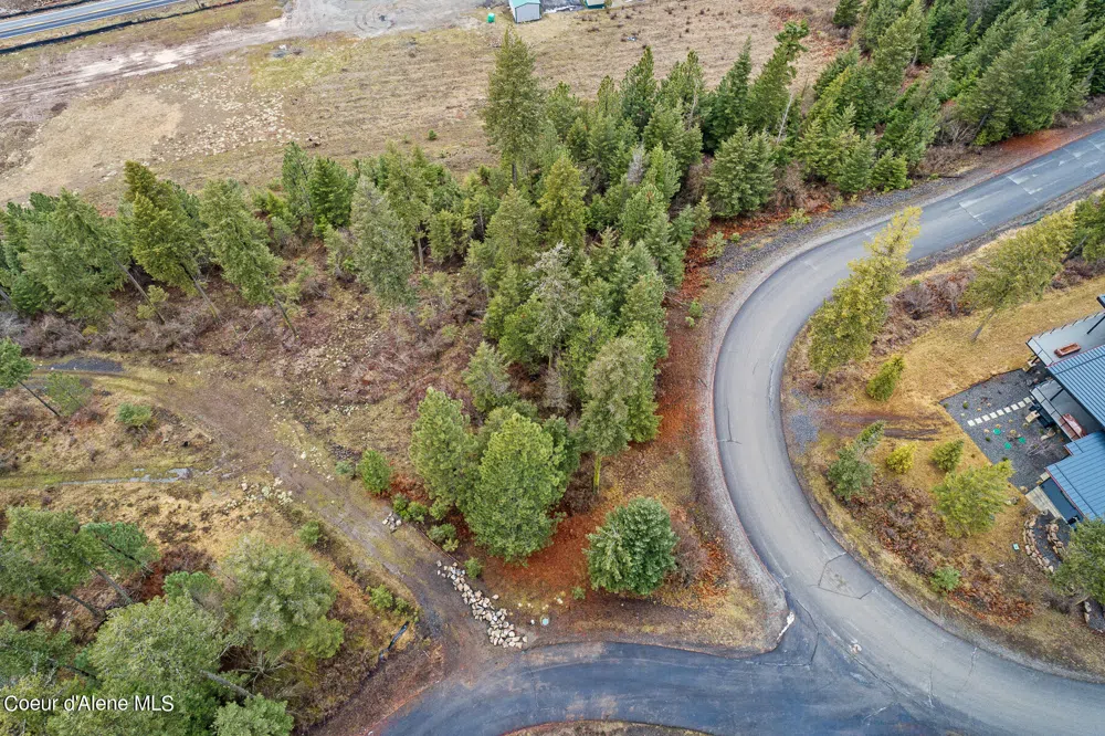 Lot 1 Jackleg Trail Harrison, ID 83833