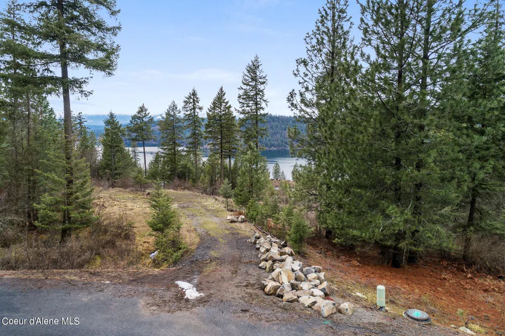 Lot 1 Jackleg Trail Harrison, ID 83833