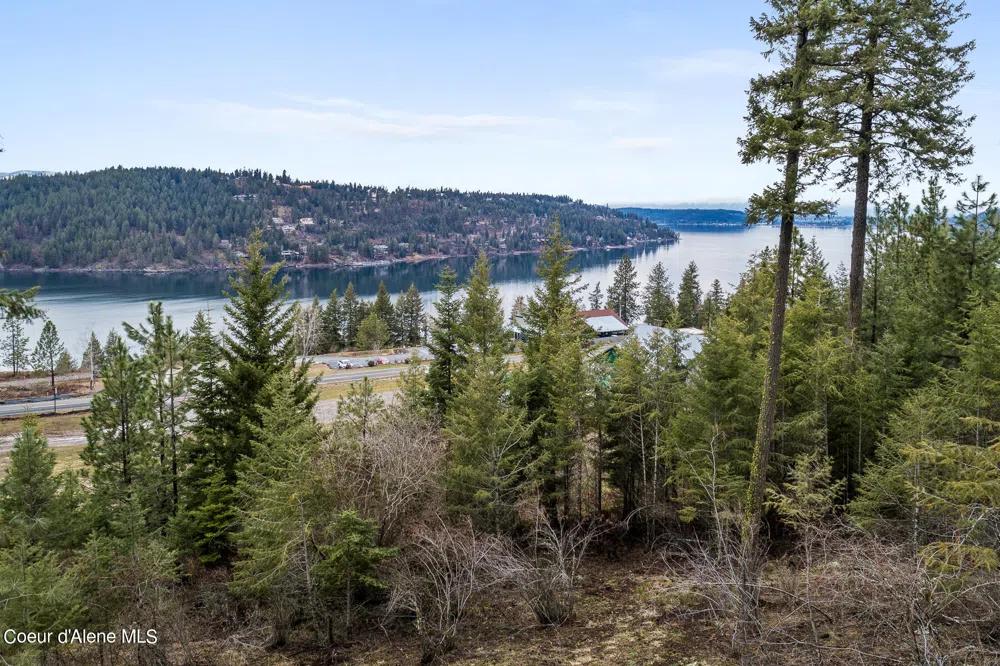 Lot 1 Jackleg Trail Harrison, ID 83833