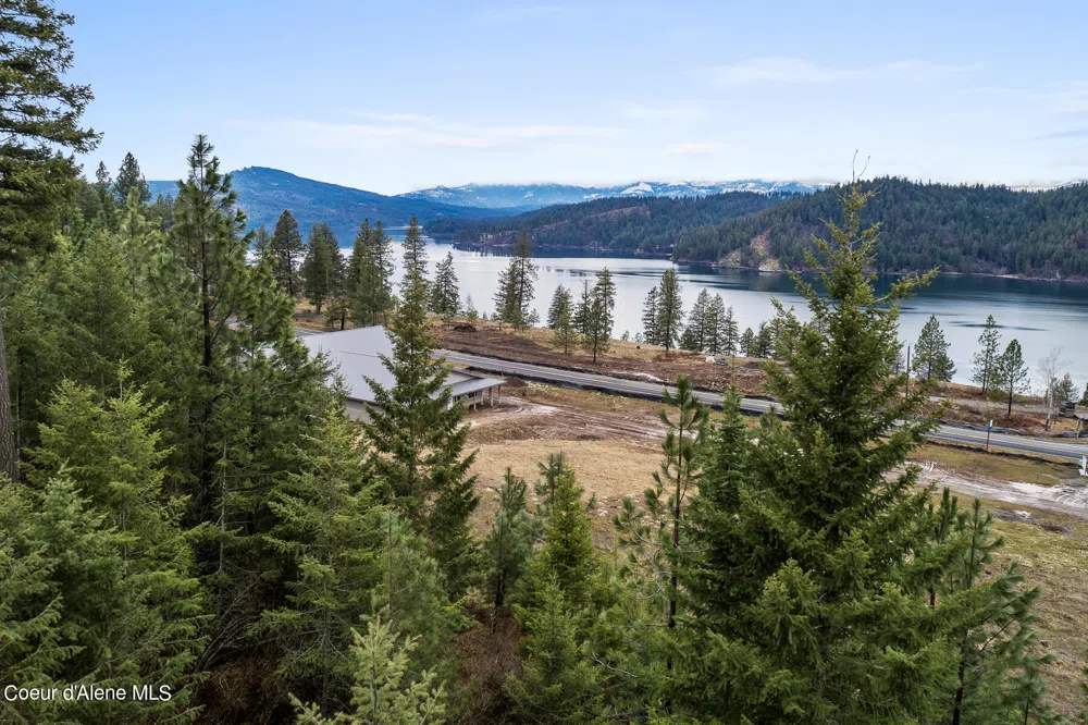 Lot 1 Jackleg Trail Harrison, ID 83833