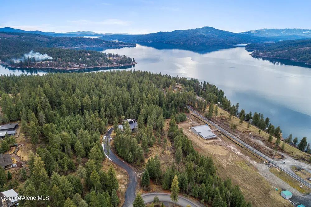 Lot 1 Jackleg Trail Harrison, ID 83833