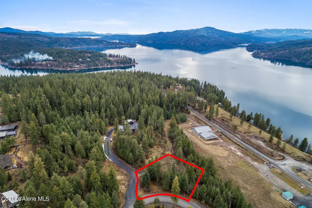 Lot 1 Jackleg Trail Harrison, ID 83833