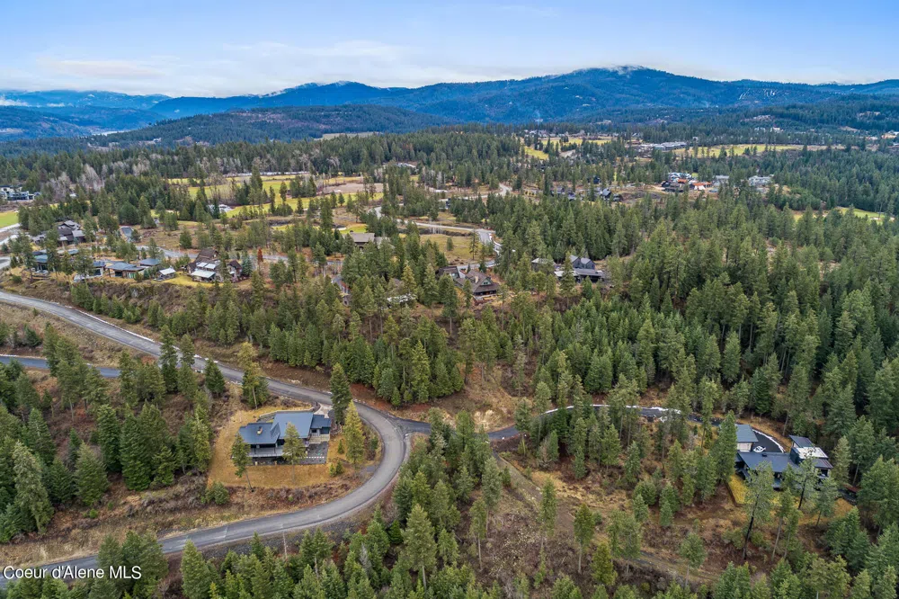 Lot 1 Jackleg Trail Harrison, ID 83833