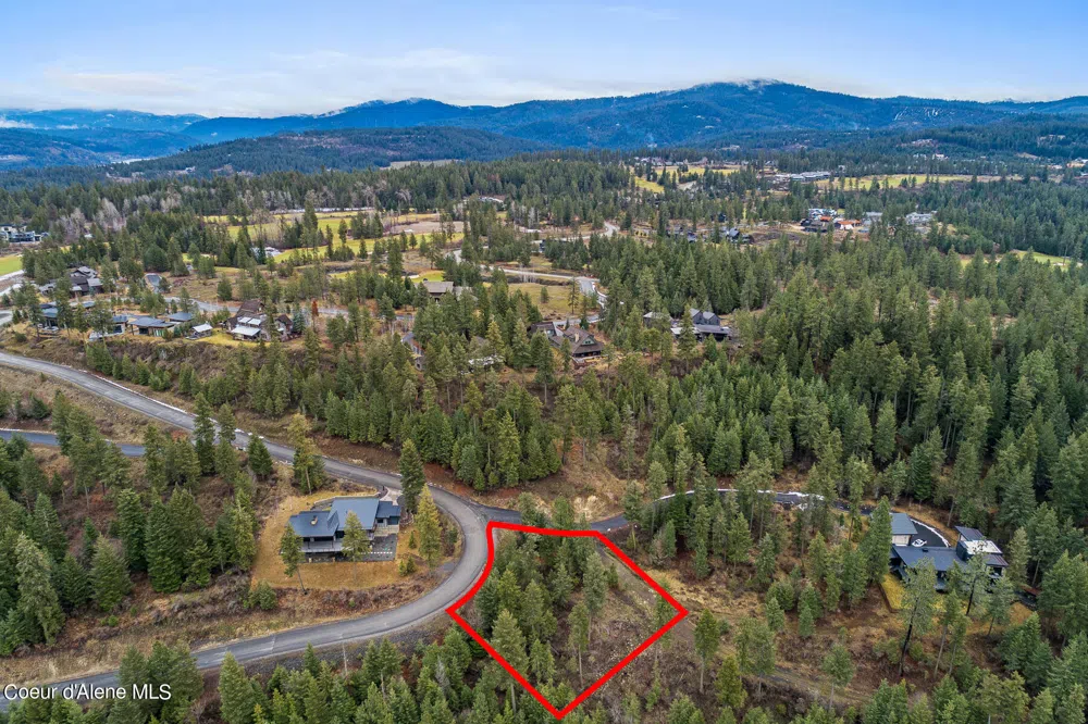 Lot 1 Jackleg Trail Harrison, ID 83833