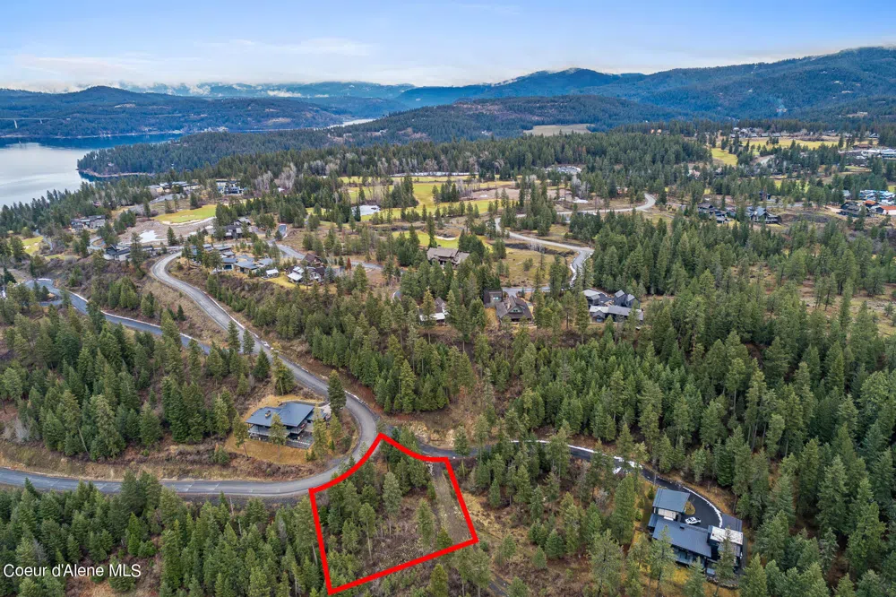 Lot 1 Jackleg Trail Harrison, ID 83833