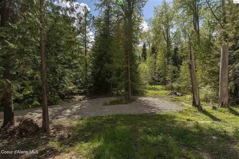 292 Fortyniner Lane