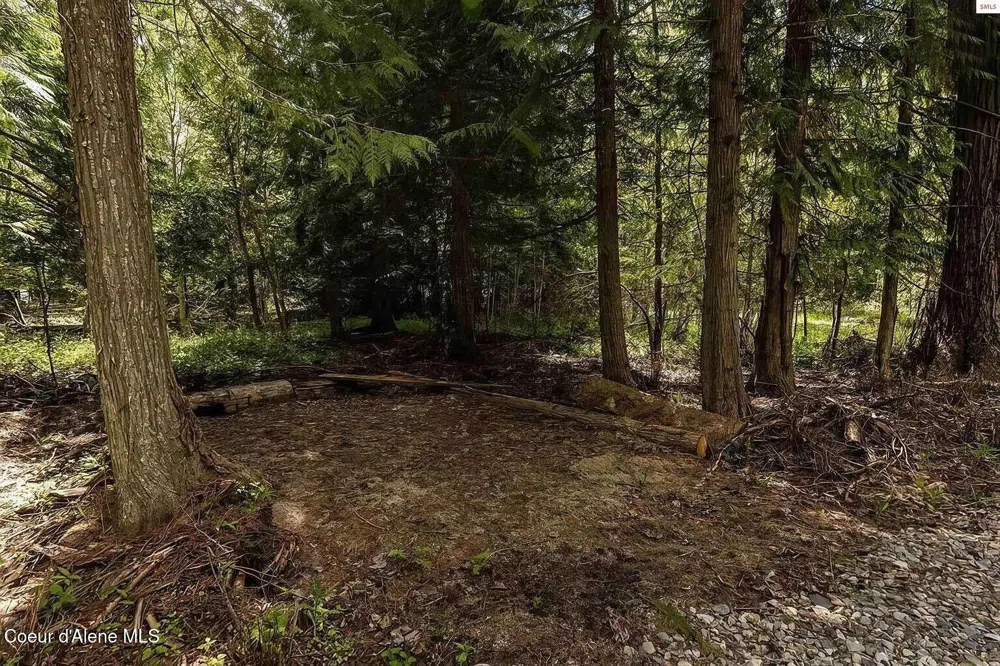 292 Fortyniner Lane Bonners Ferry, ID 83805