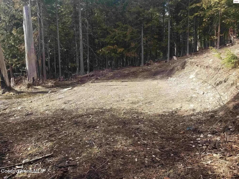292 Fortyniner Lane Bonners Ferry, ID 83805