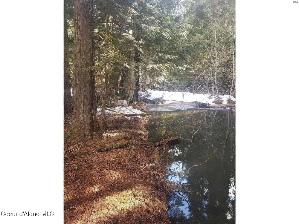 292 Fortyniner Lane Bonners Ferry, ID 83805