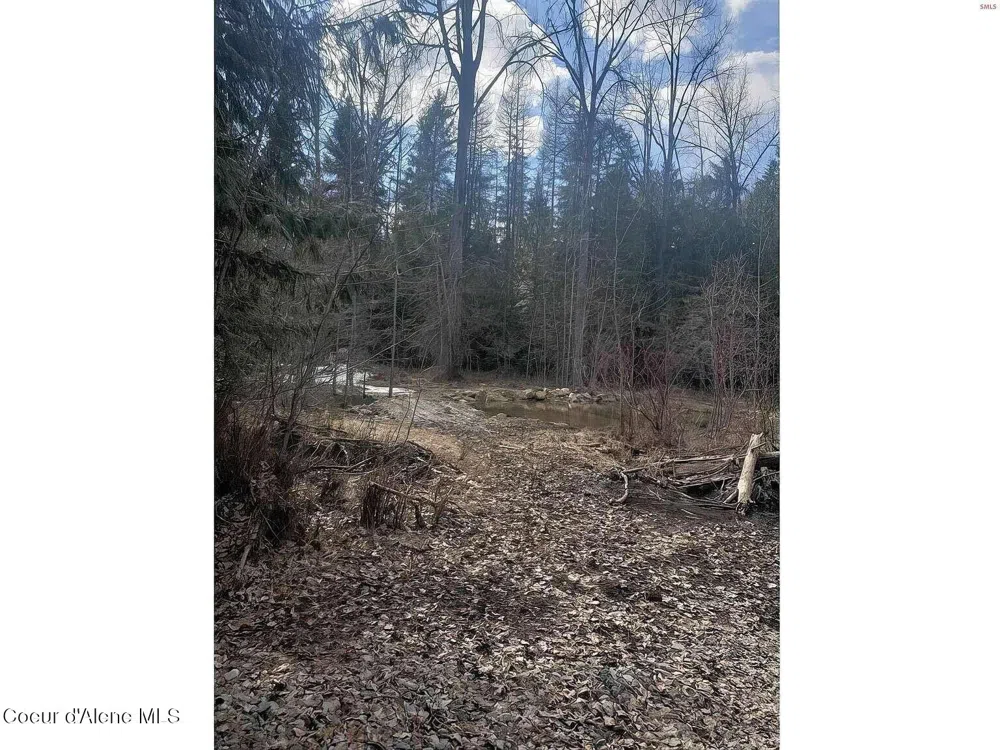 292 Fortyniner Lane Bonners Ferry, ID 83805
