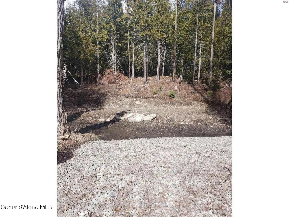 292 Fortyniner Lane Bonners Ferry, ID 83805