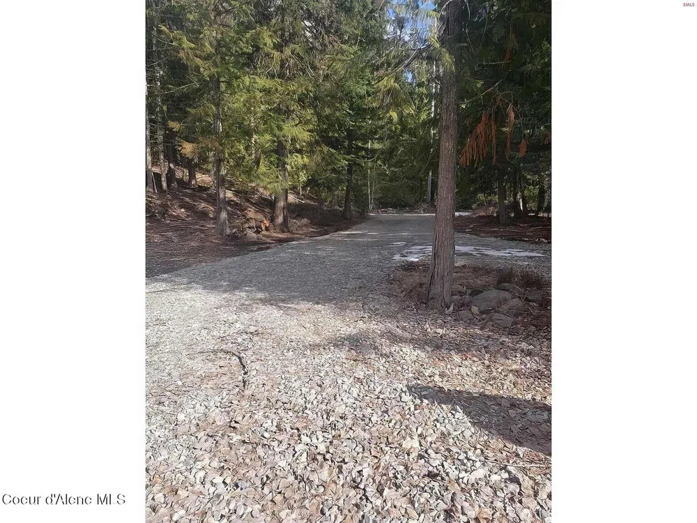 292 Fortyniner Lane Bonners Ferry, ID 83805