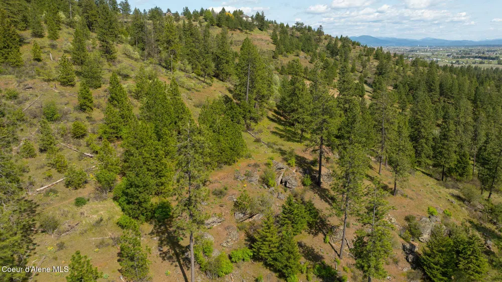 NKA W JULIA DRIVE Hauser, ID 83854