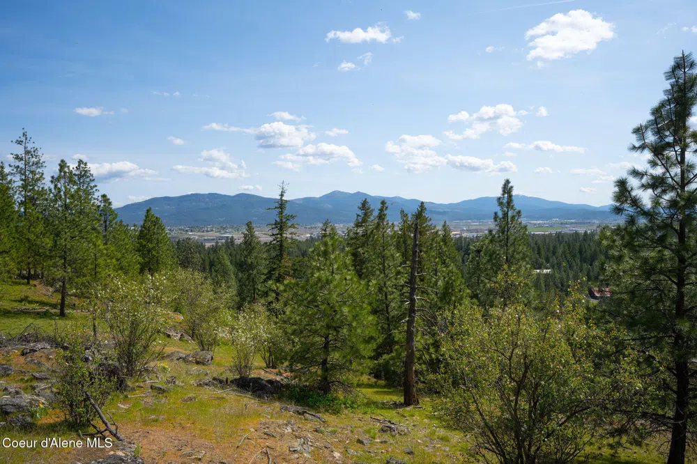 NKA W JULIA DRIVE Hauser, ID 83854