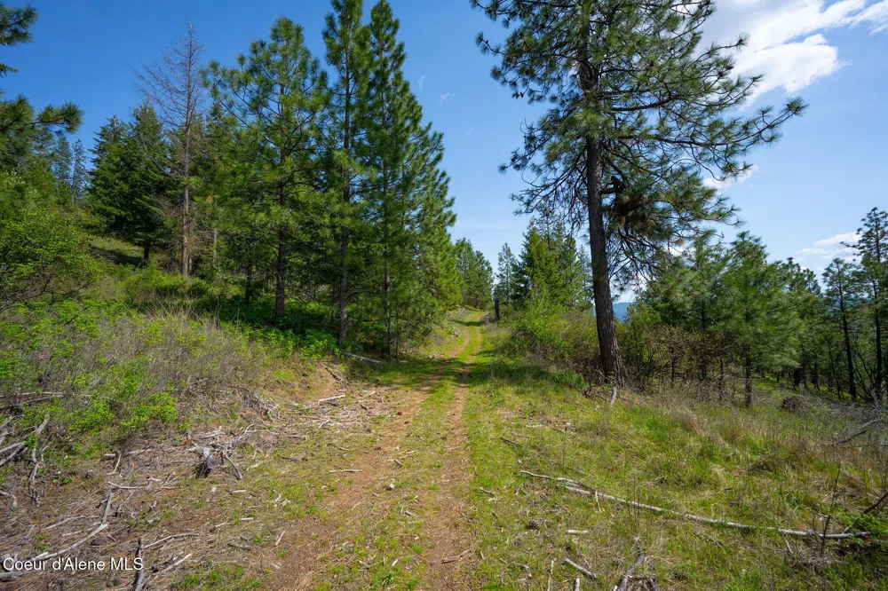 NKA W JULIA DRIVE Hauser, ID 83854