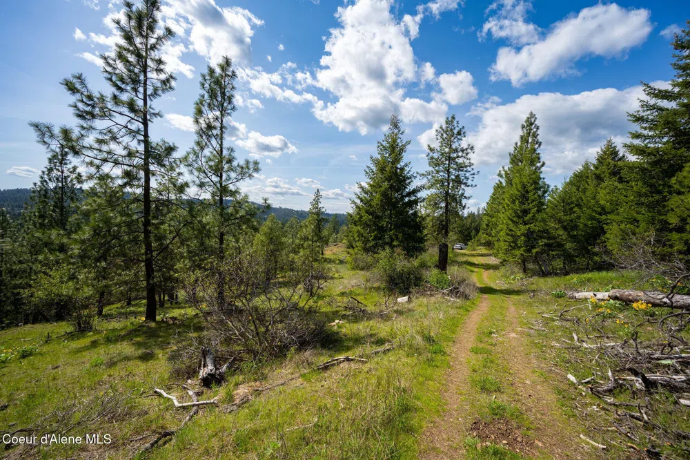 NKA W JULIA DRIVE Hauser, ID 83854