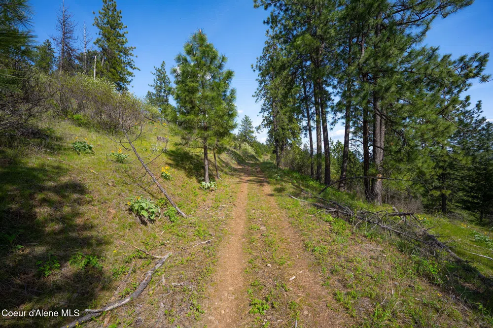 NKA W JULIA DRIVE Hauser, ID 83854