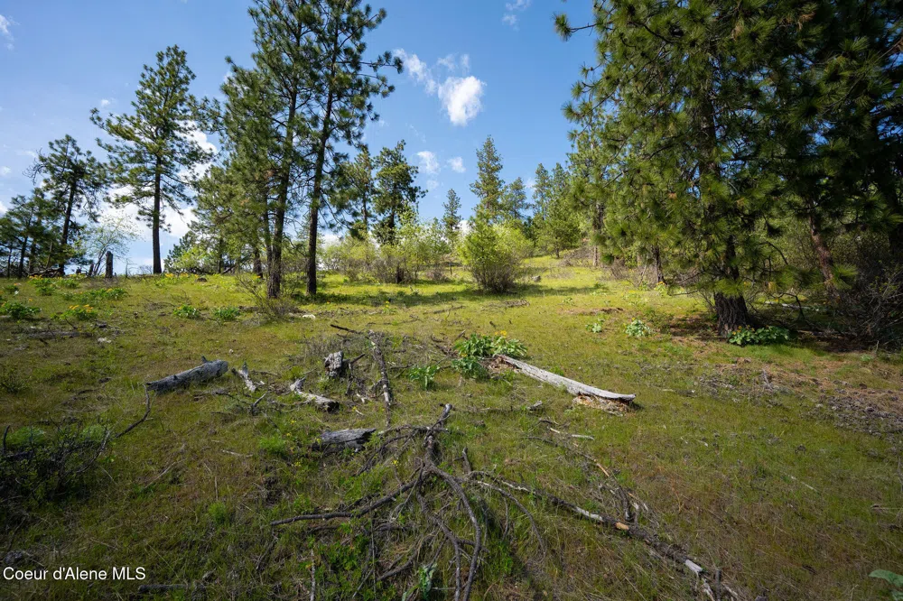 NKA W JULIA DRIVE Hauser, ID 83854