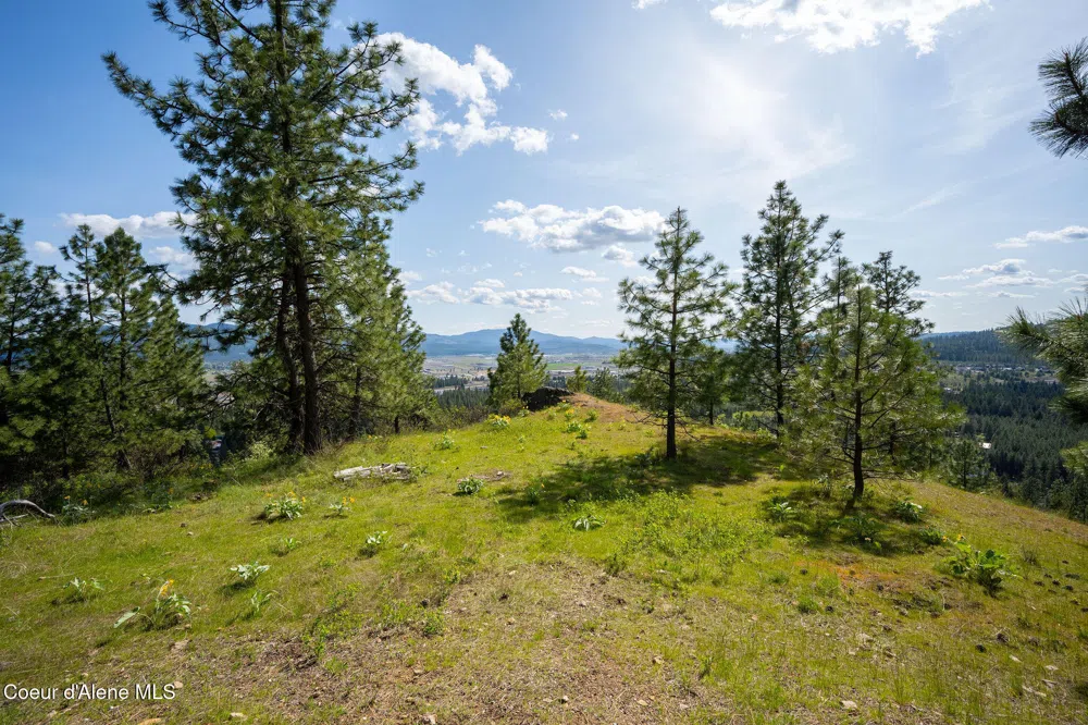 NKA W JULIA DRIVE Hauser, ID 83854