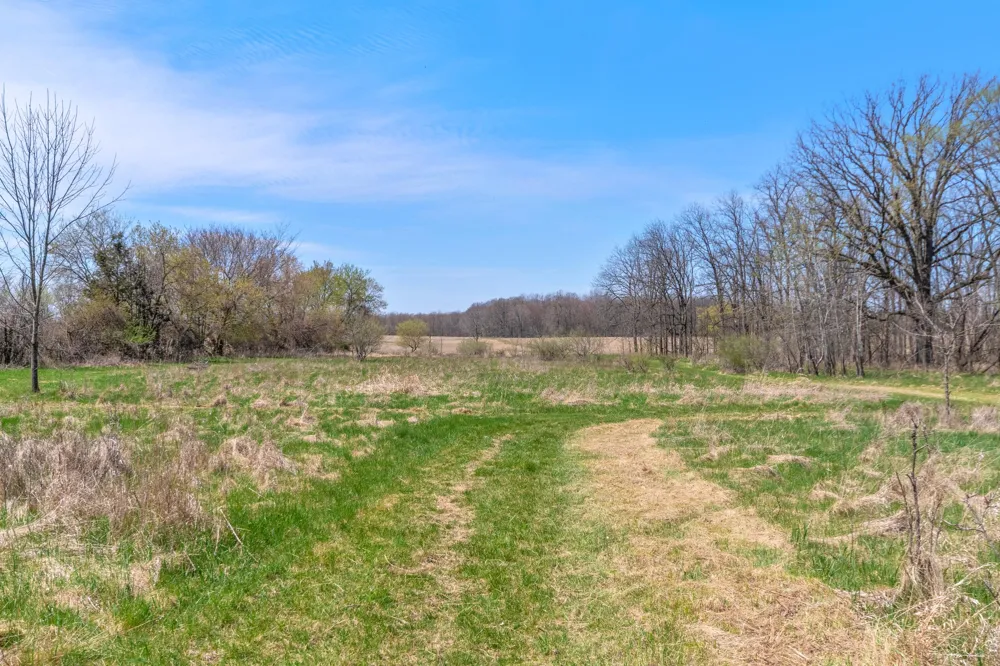 10880 S Francis Road DeWitt, MI 48820