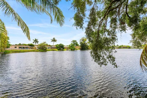 8956 Palm Tree Ln #8956