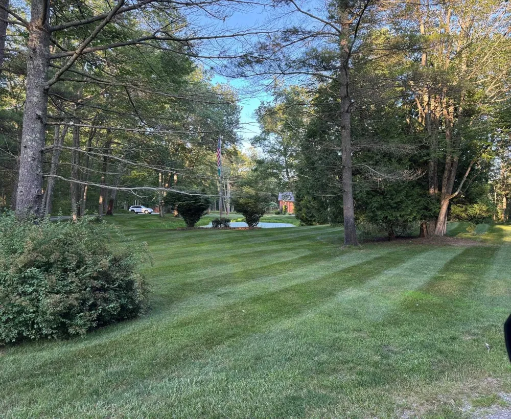 4507 Gowen Road Au Sable Charter Township, MI 48730