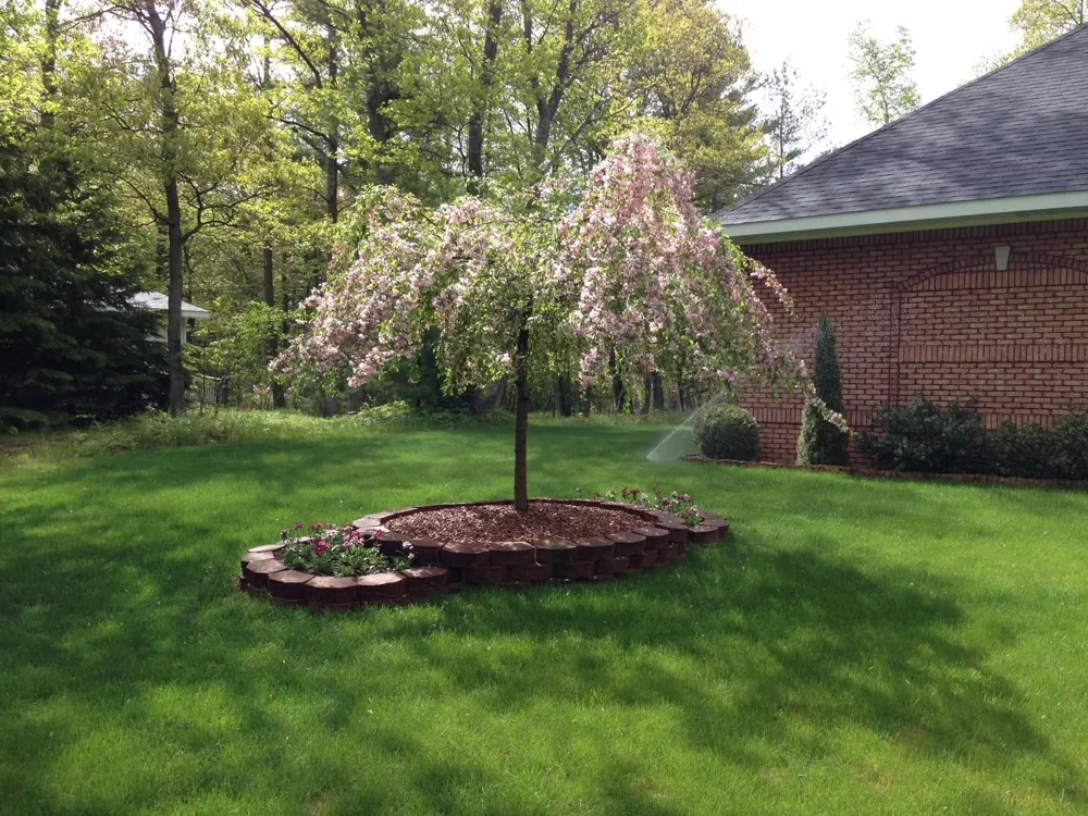 4507 Gowen Road Au Sable Charter Township, MI 48730