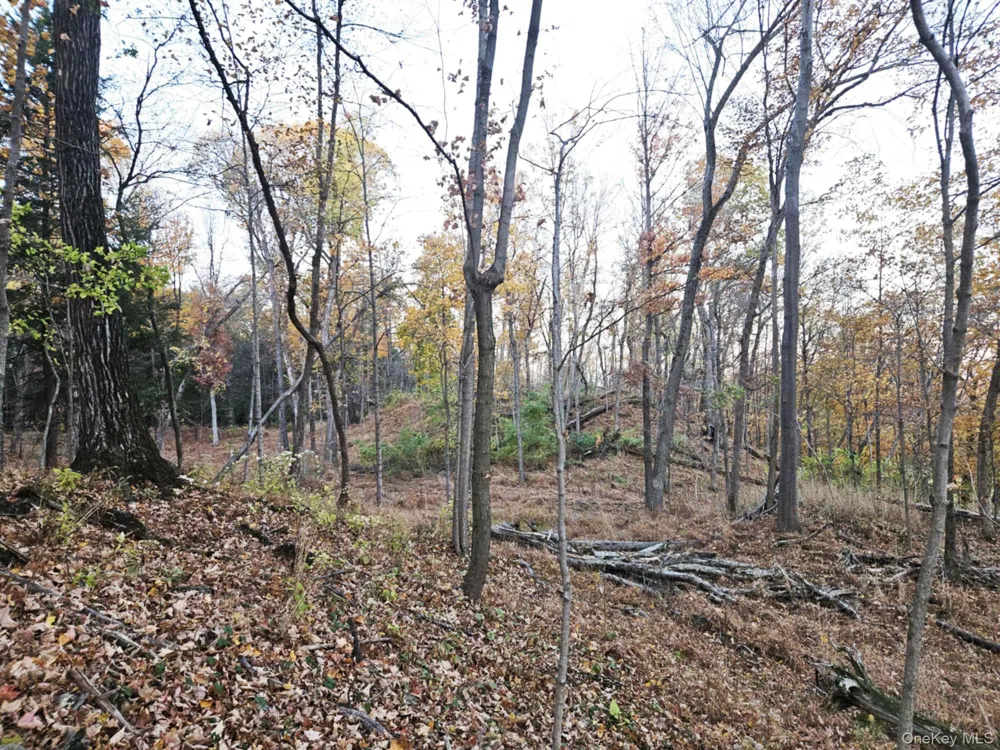274 Fingar Road Hudson, NY 12534