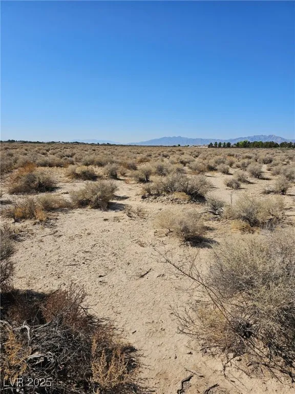 1061 W Nye Road Pahrump, NV 89060