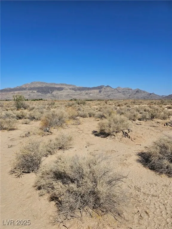 1061 W Nye Road Pahrump, NV 89060