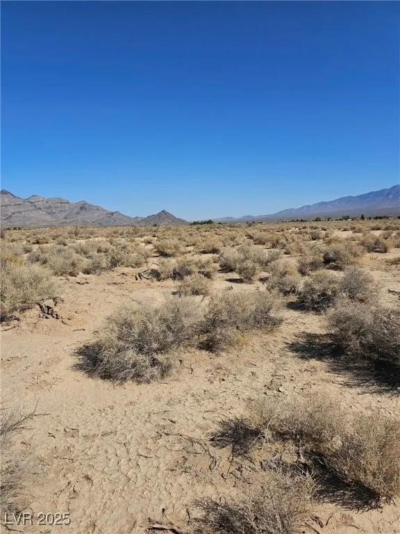 1061 W Nye Road Pahrump, NV 89060