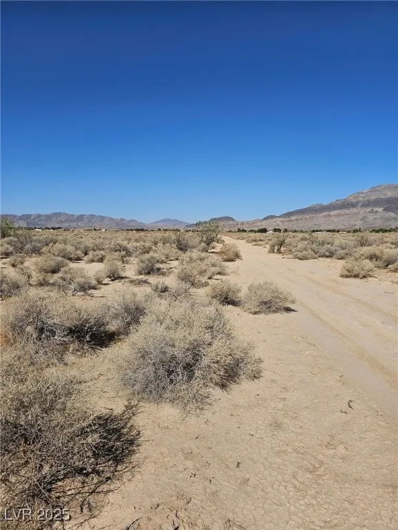 1061 W Nye Road Pahrump, NV 89060