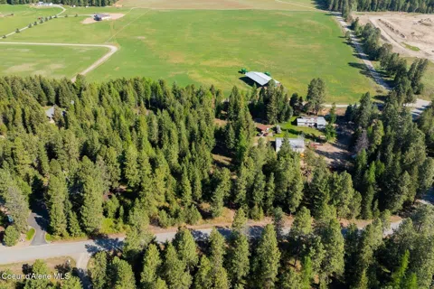 165 Chokecherry