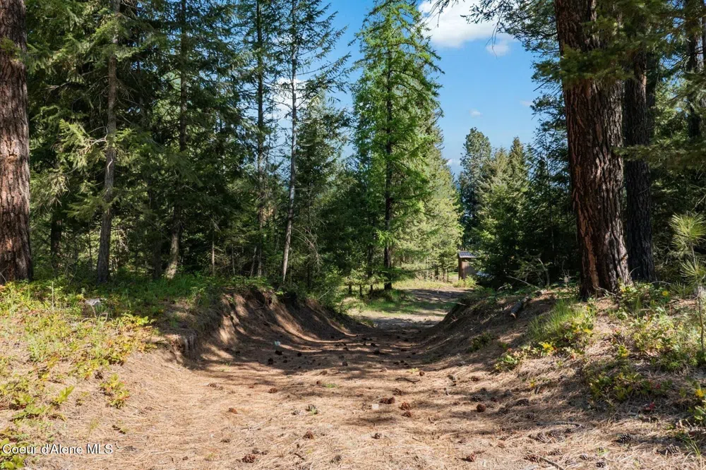 165 Chokecherry Bonners Ferry, ID 83805