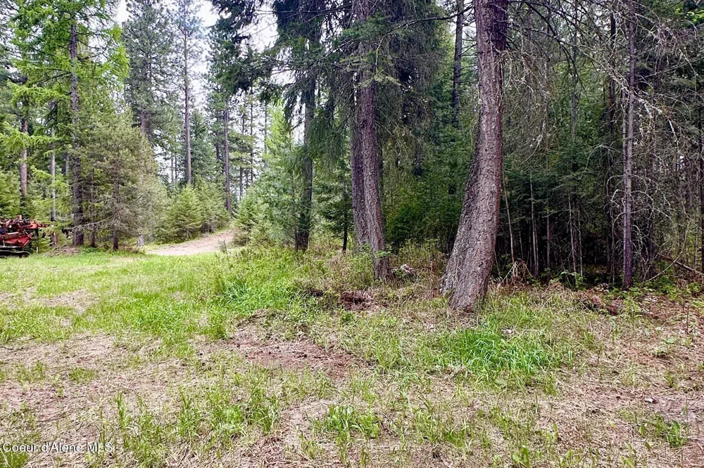165 Chokecherry Bonners Ferry, ID 83805