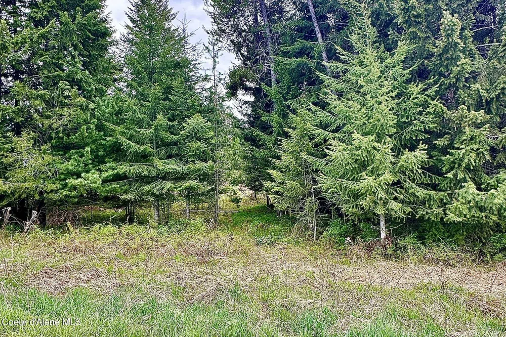165 Chokecherry Bonners Ferry, ID 83805