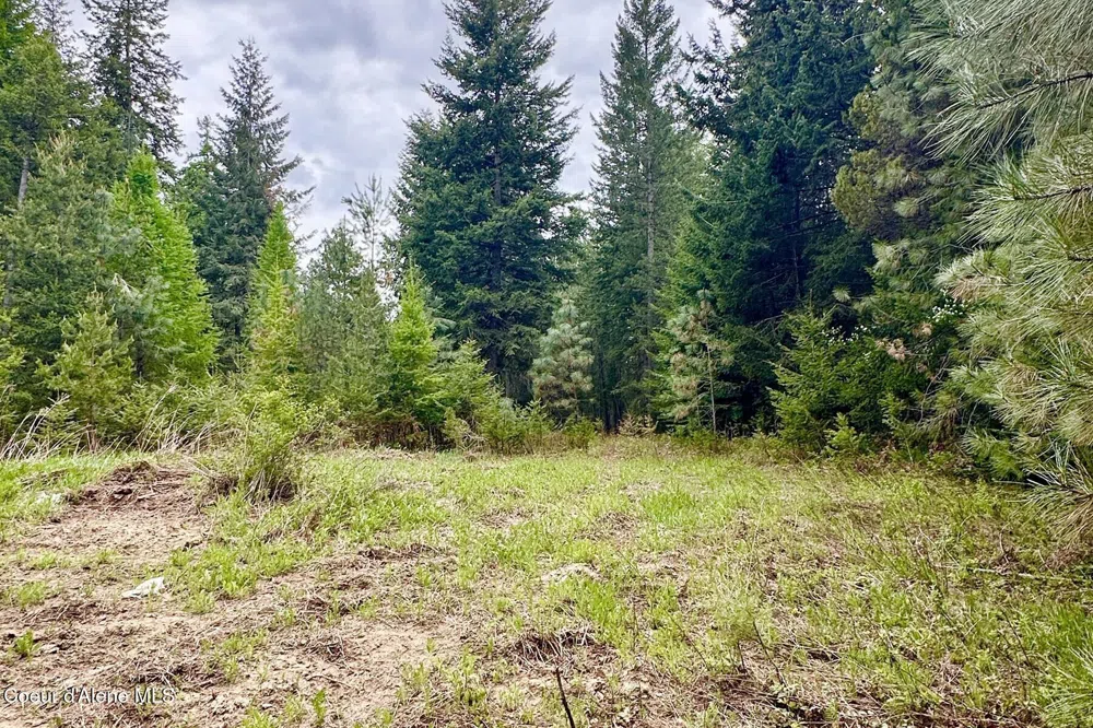 165 Chokecherry Bonners Ferry, ID 83805