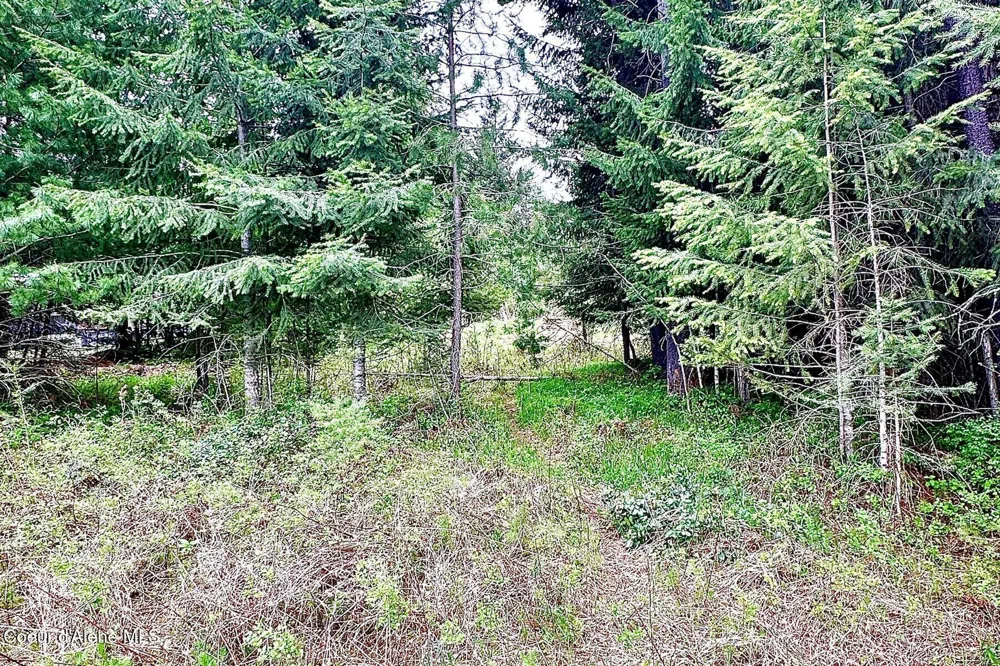 165 Chokecherry Bonners Ferry, ID 83805