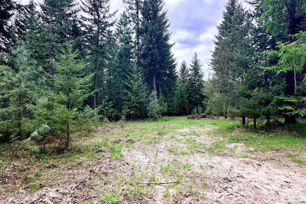 165 Chokecherry Bonners Ferry, ID 83805