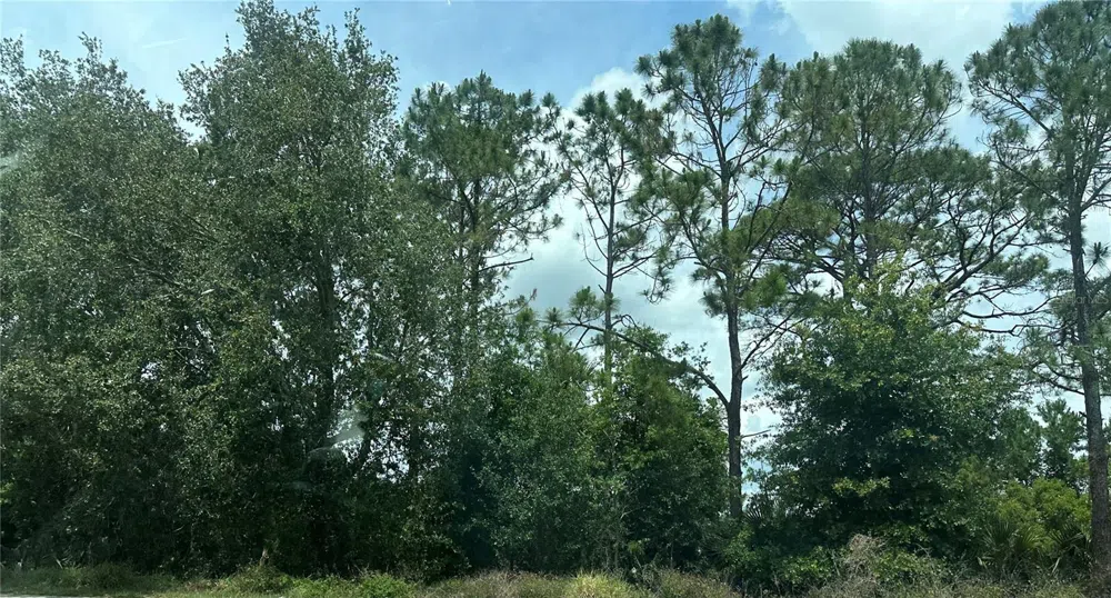SR-535 Orlando, FL 32821