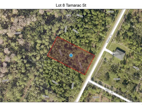 LOT 8 TAMARAC STREET